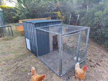 Pollaio galline 