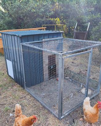 Pollaio galline 