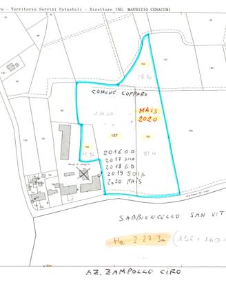 Terreno agricolo 2,23 ha Copparo Sabbioncello