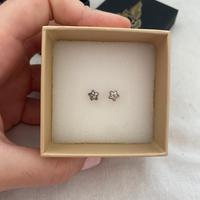 Orecchini in argento