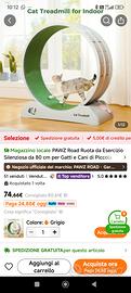 ruota esercizio gatti