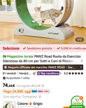 ruota esercizio gatti