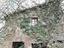 Immagine 21
