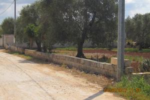 Veglie terreno agricolo