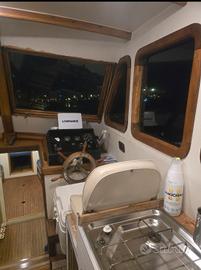 Barca con scafo dislocante da 9,99 m