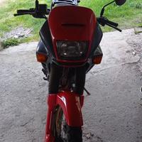 Honda Dominator 650