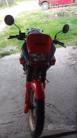 Honda Dominator 650