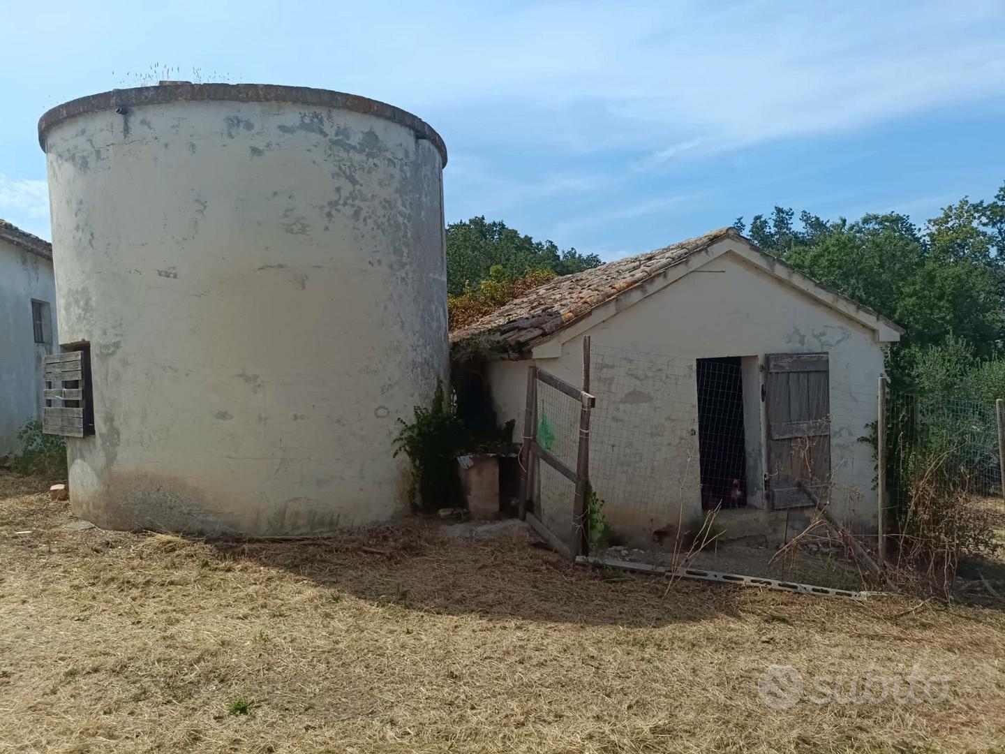 Casale - fattoria - con uliveti - Vista 4