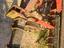 Immagine 28