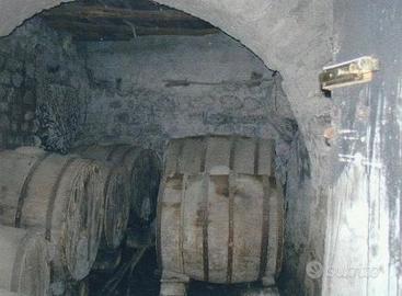 Ischia Forio Via Santa Maria al Monte Rif. 999V