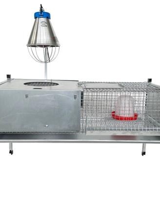 PULCINAIA PER SVEZZAMENTO PULCINI - COMPLETA E PRO