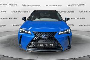 Lexus UX 250h 2.0 Midnight 2wd cvt