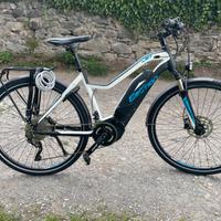 Ebike