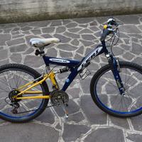 Bicicletta Mountain bike