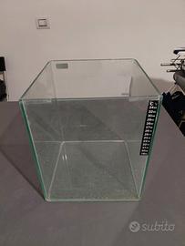 Acquario