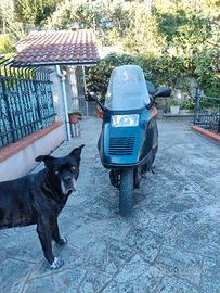 scooter CN 250 HONDA