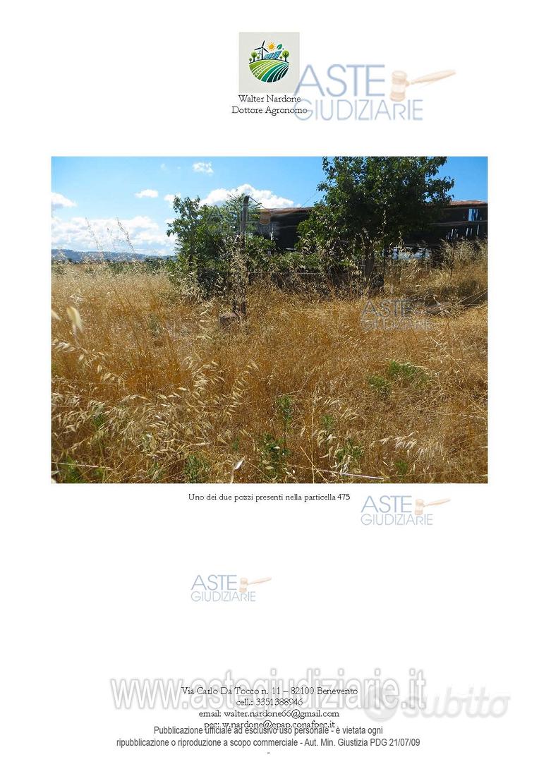 Terreno Agricolo Calvi [A4346608] - Altro