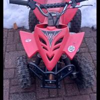 mini quad 50 