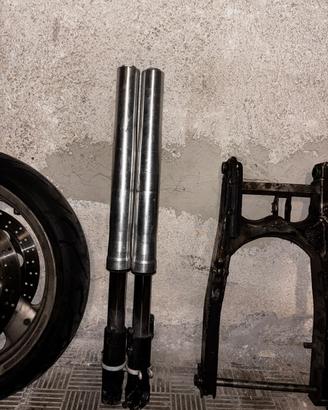 Forcelle monster ducati.