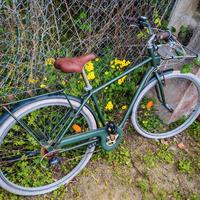 bicicletta da passeggio