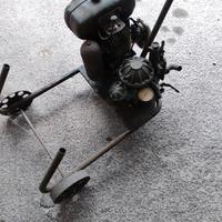 motopompa a scoppio irrorazione piante