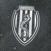 cesena fc.  ac. mochett stadio fiorita