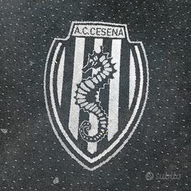 cesena fc.  ac. mochett stadio fiorita