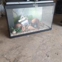 Acquario perfettamente conservato