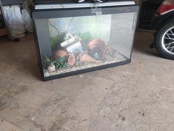 Acquario perfettamente conservato