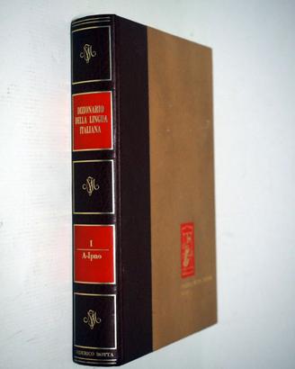 DIZIONARIO DELLA LINGUA ITALIANA VOL.1 MOTTA