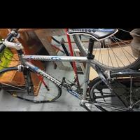 bici colnago 