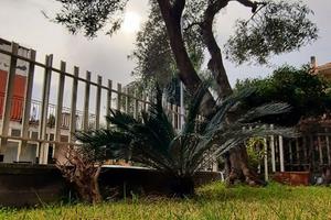 Splendido Monovano- Acitrezza Riviera dei Ciclopi