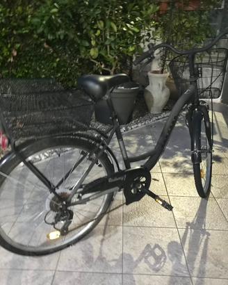 Bici da Uomo e Donna