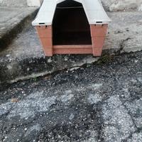 cuccia per cane