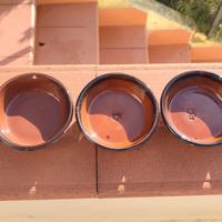 Ciotole in terra cotta