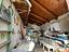Immagine 27