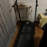 Tapirulan professionale