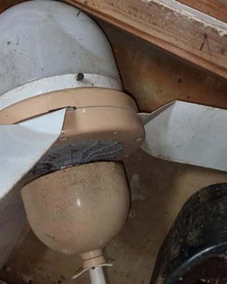 Ventilatore da soffitto