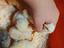 Immagine 1