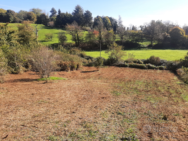 Terreno in zona collinare e assolata