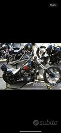Harley softail