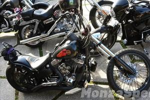 Harley softail