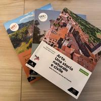 Settis-Montanari:Arte una storia naturale e civile
