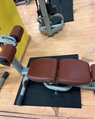 Panca addominali originale technogym