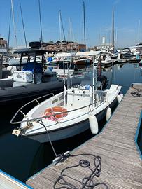Barca Fiart 17 + Motore Mercury 40/60 - 130 ore.