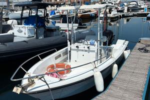 Barca Fiart 17 + Motore Mercury 40/60 - 130 ore.
