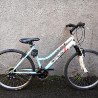 BICICLETTA CON CAMBI 26 POLLICI 