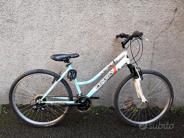 BICICLETTA CON CAMBI 26 POLLICI 