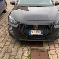 Pegeout 208