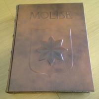 Libro storico sul Molise edito da zecca di stato